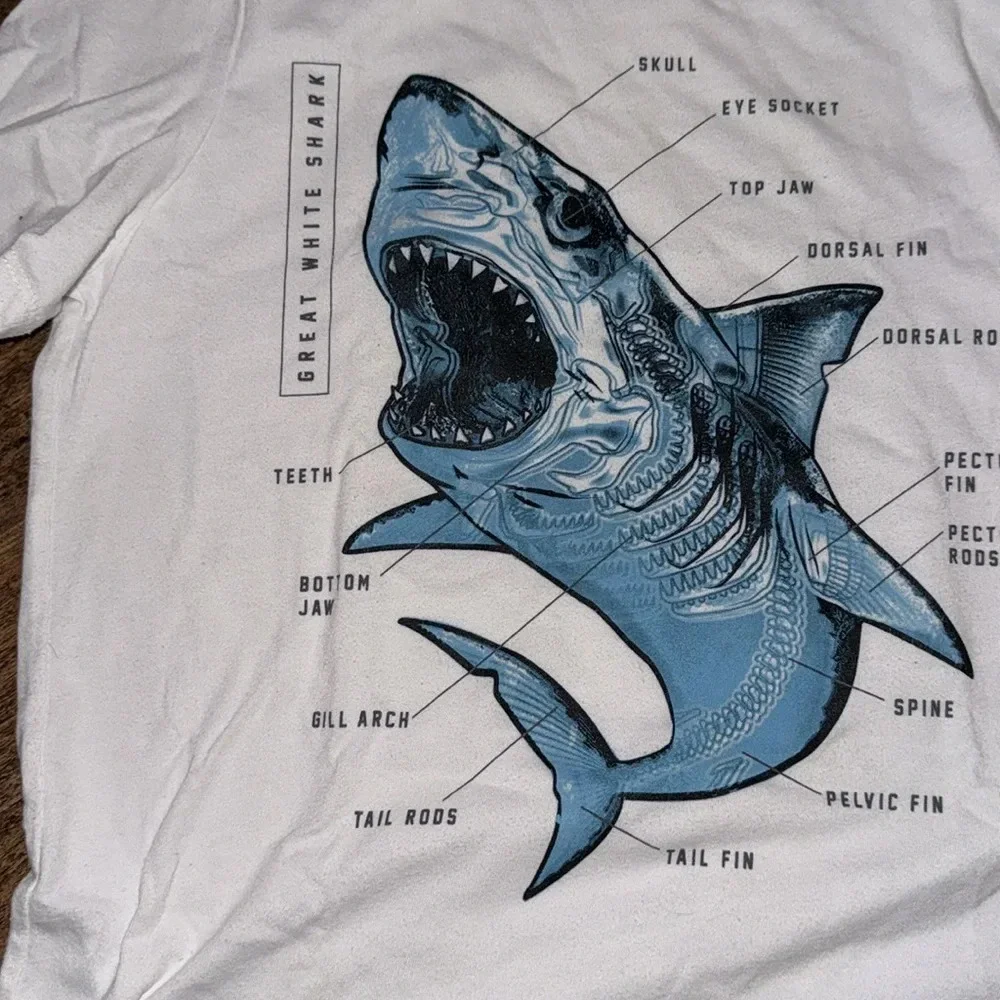Shark 🦈 tee boys size 10/12